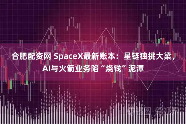 合肥配资网 SpaceX最新账本：星链独挑大梁，AI与火箭业务陷“烧钱”泥潭